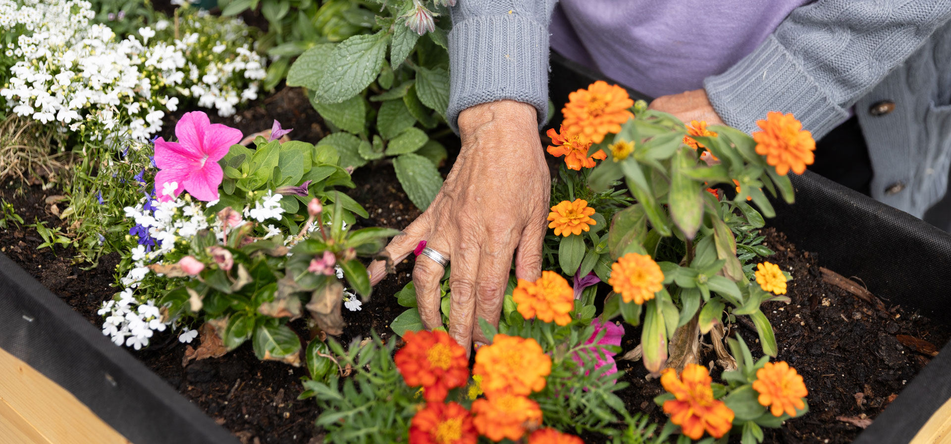 resident tending to flower garden