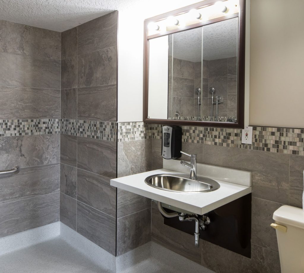 suite bathroom with sink mirror and shower